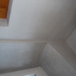 C0301