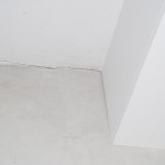 C1202