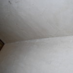 D2104