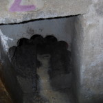 G0803