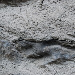 I0106