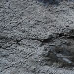 I0107
